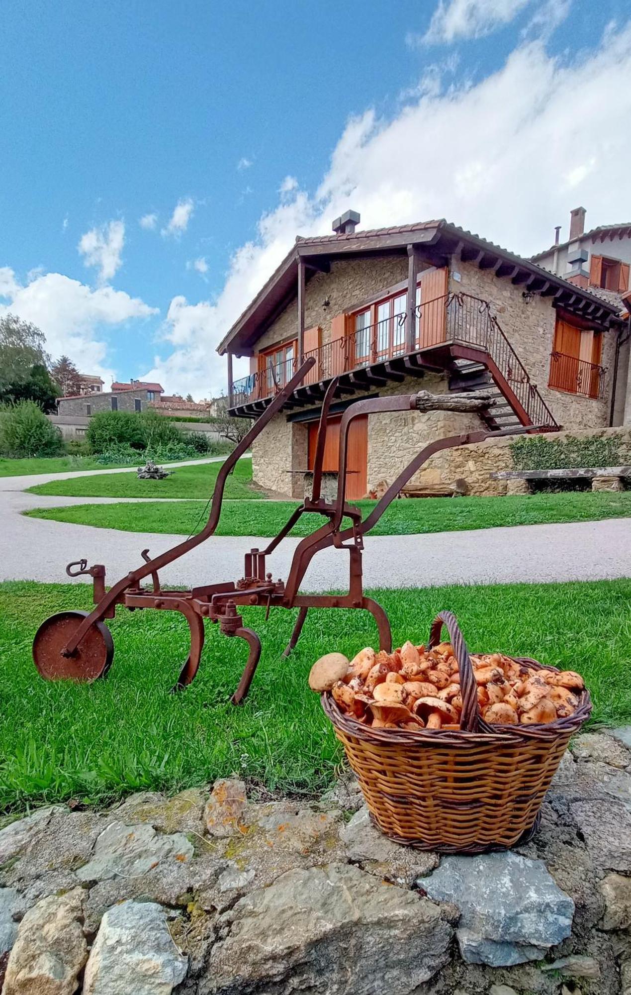 Can Tubau - Casa Rural - Apartaments Campelles Esterno foto