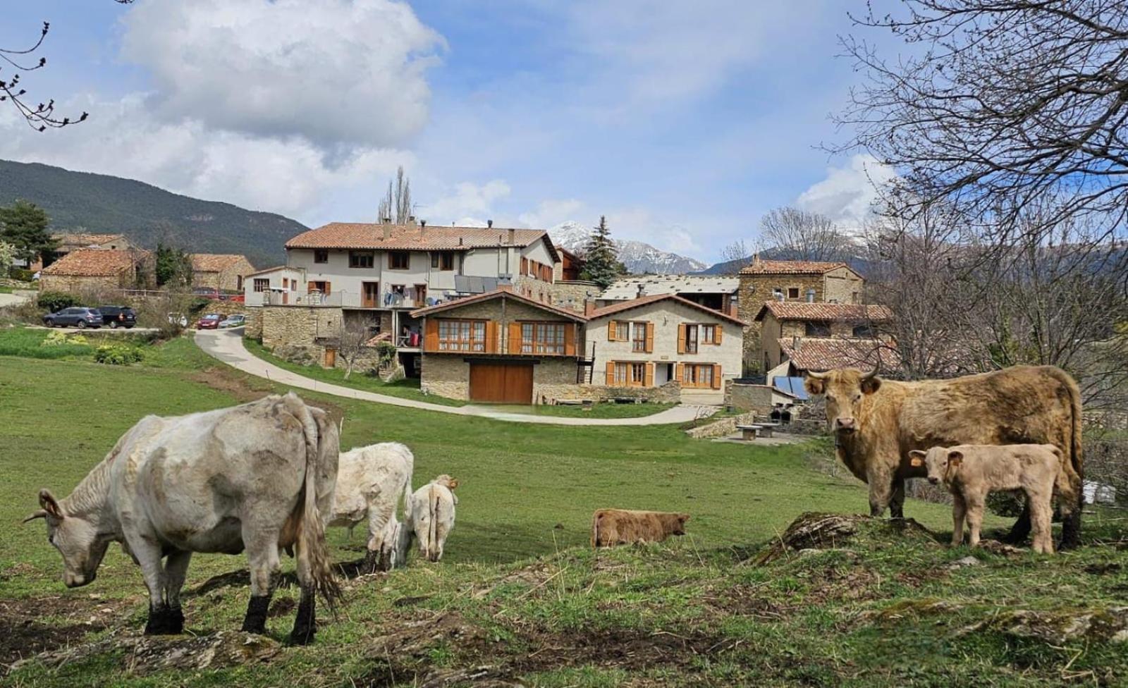 Can Tubau - Casa Rural - Apartaments Campelles Esterno foto